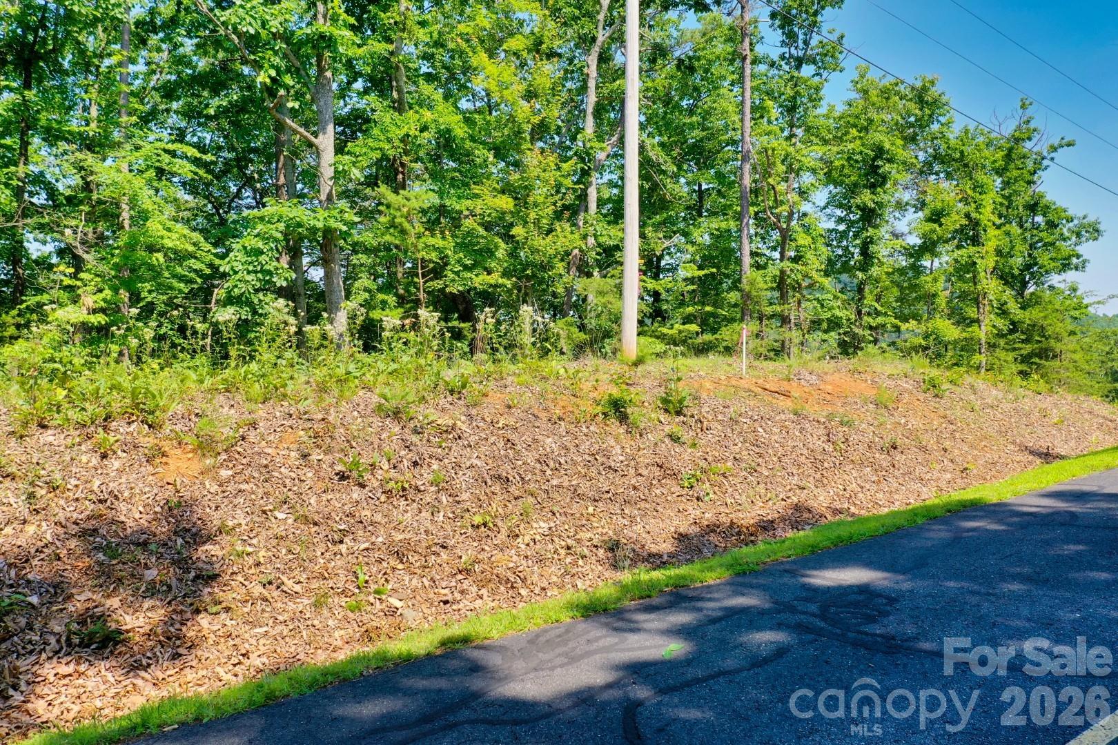 27 Mountain Lookout Drive Bostic NC 28018