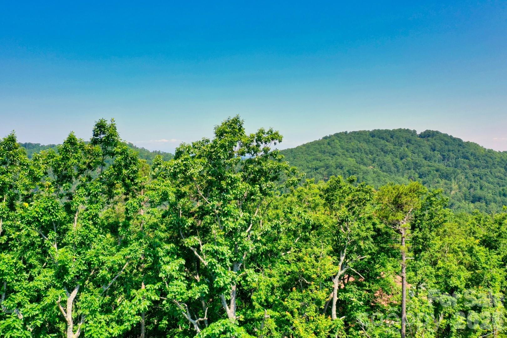 27 Mountain Lookout Drive Bostic NC 28018