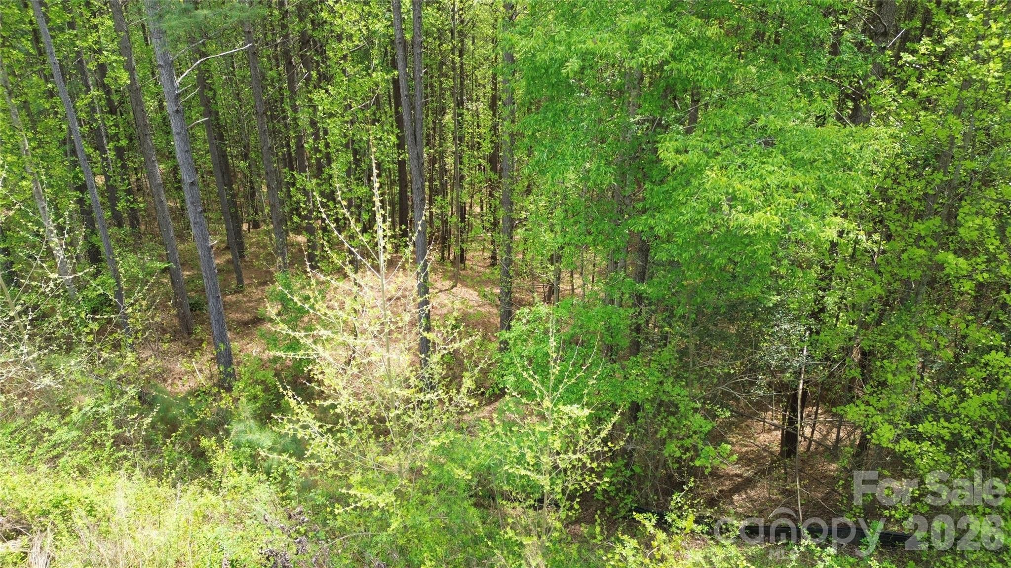 101, 107 Table Rock Trace NW Morganton NC 28655