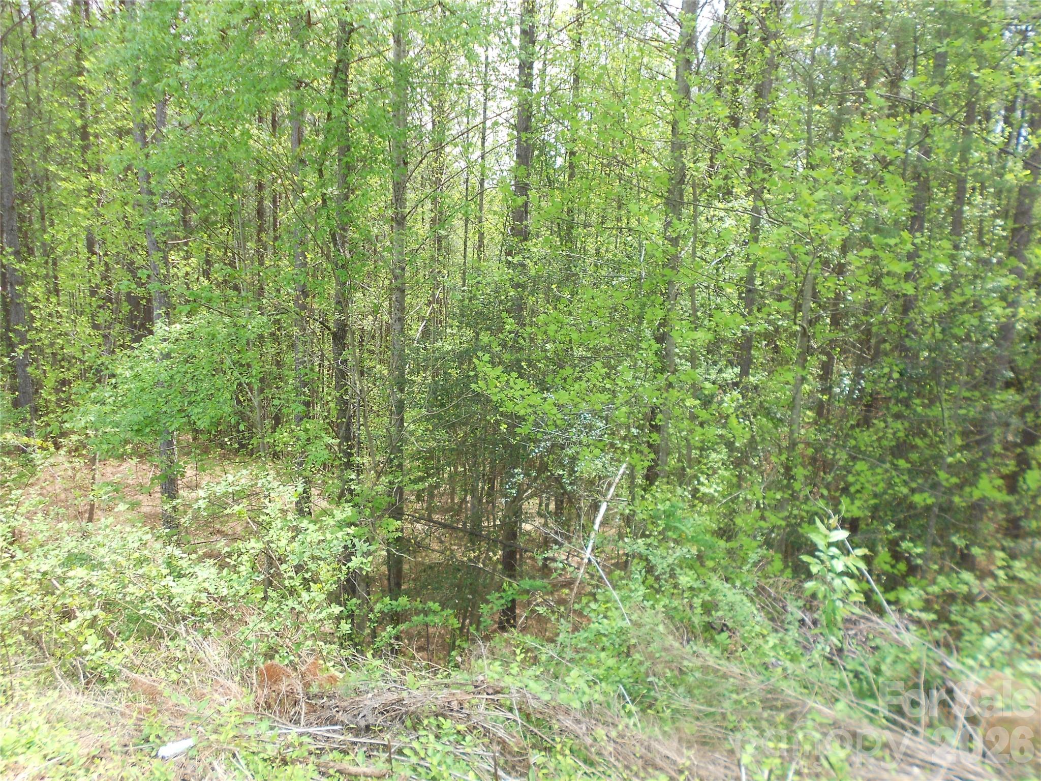 101, 107 Table Rock Trace NW Morganton NC 28655