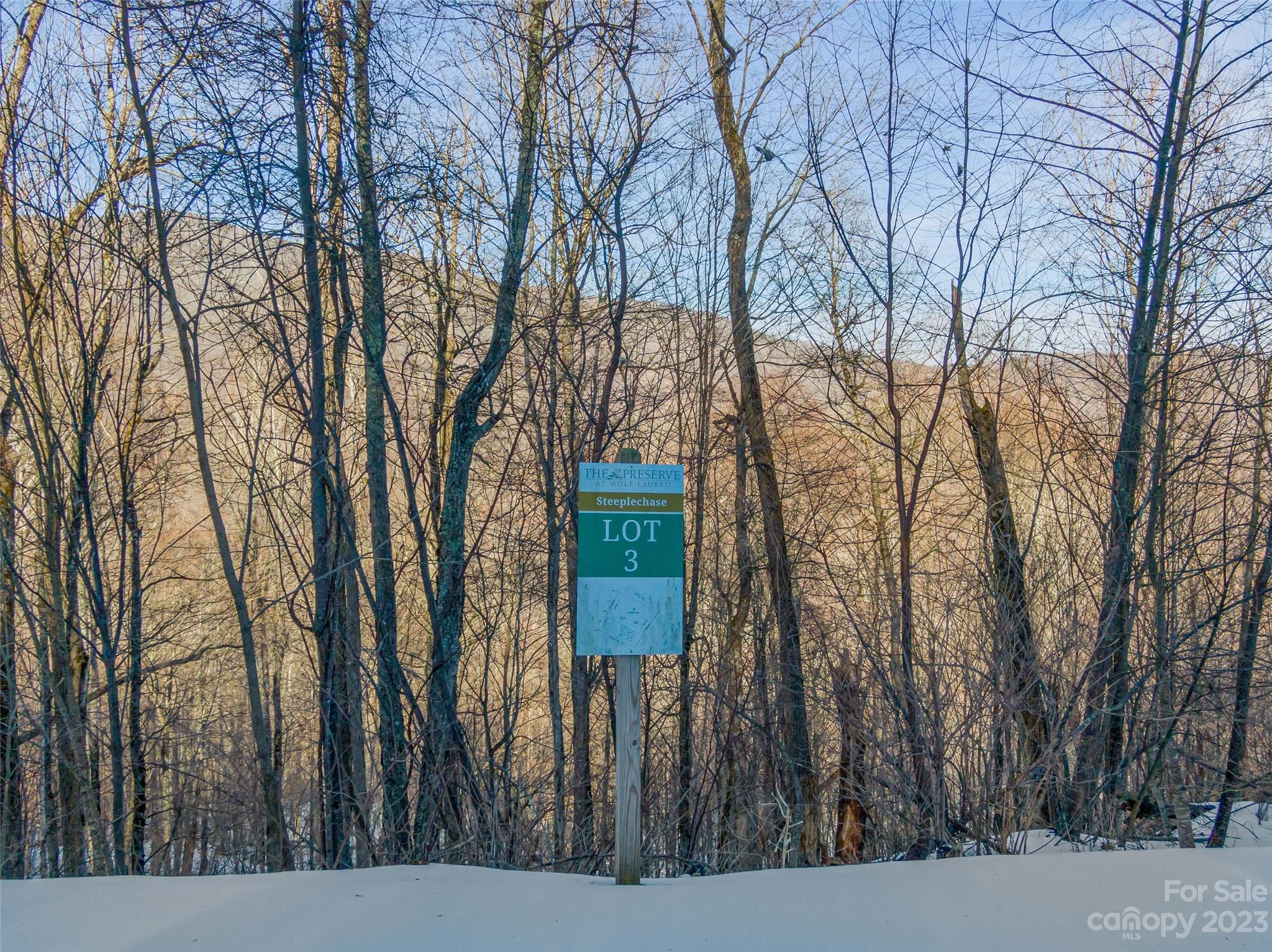 Lot 3 Mountain Gait Drive Mars Hill NC 28754