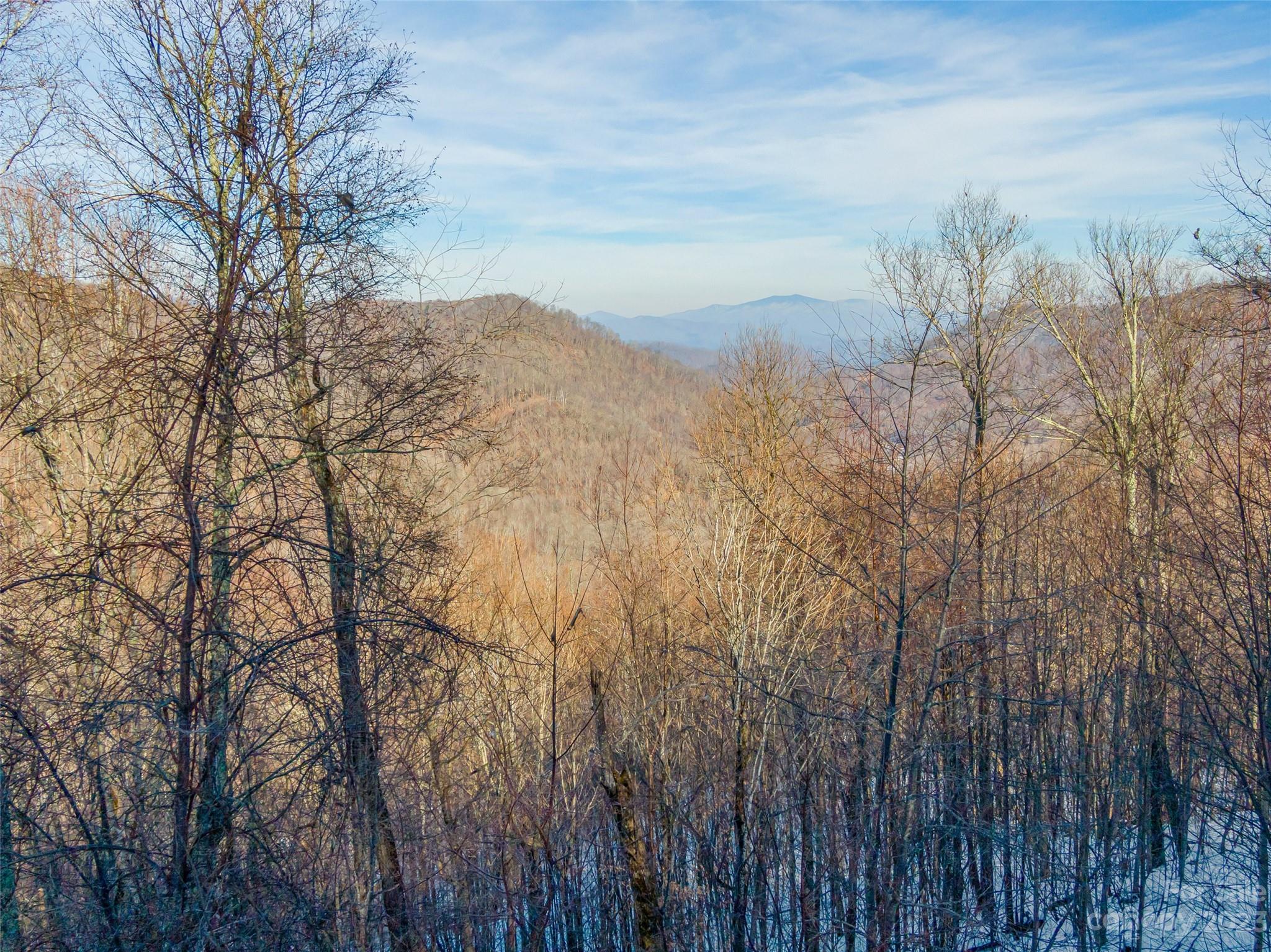 Lot 3 Mountain Gait Drive Mars Hill NC 28754