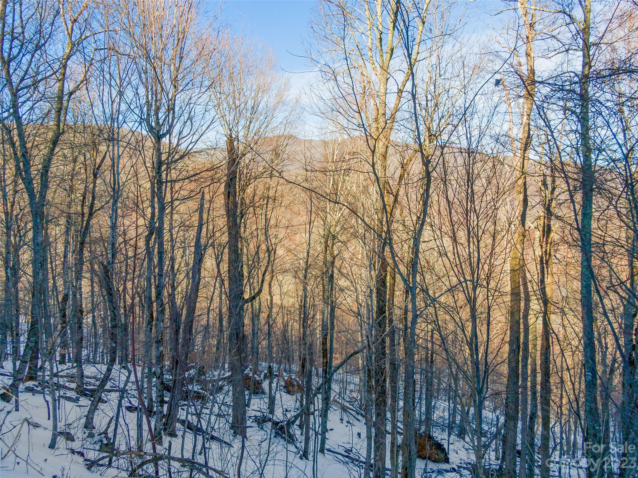 Lot 3 Mountain Gait Drive Mars Hill NC 28754