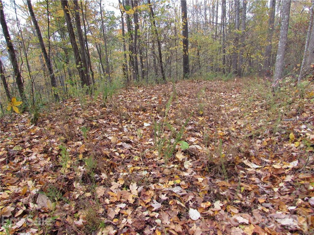 E- 20 Red Wolf Run Mars Hill NC 28754