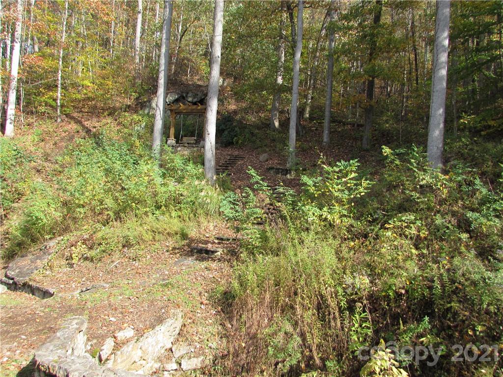E- 20 Red Wolf Run Mars Hill NC 28754