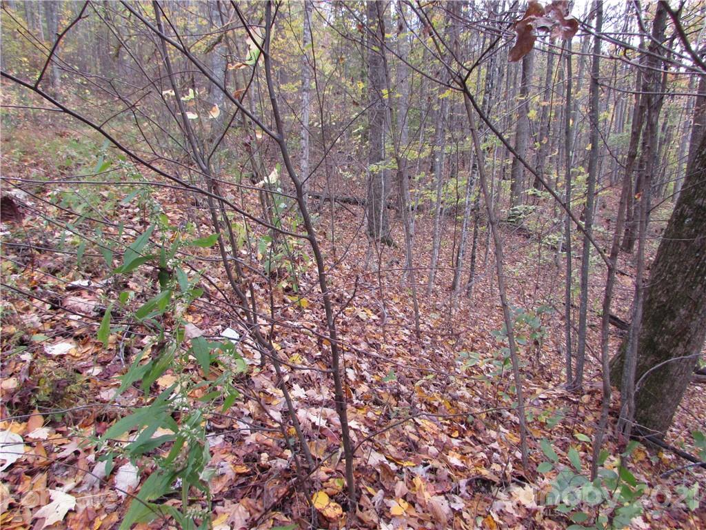 E- 20 Red Wolf Run Mars Hill NC 28754
