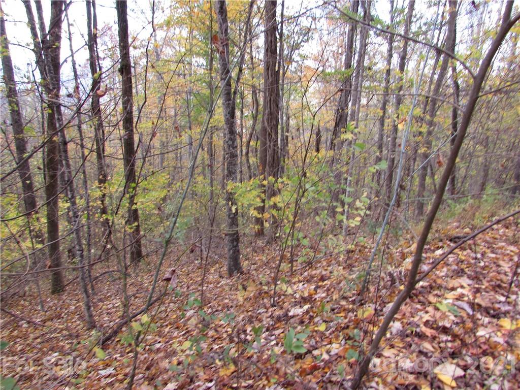 E- 20 Red Wolf Run Mars Hill NC 28754