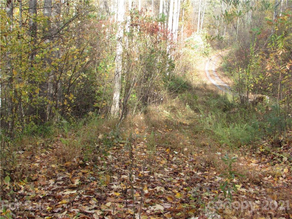 E- 20 Red Wolf Run Mars Hill NC 28754