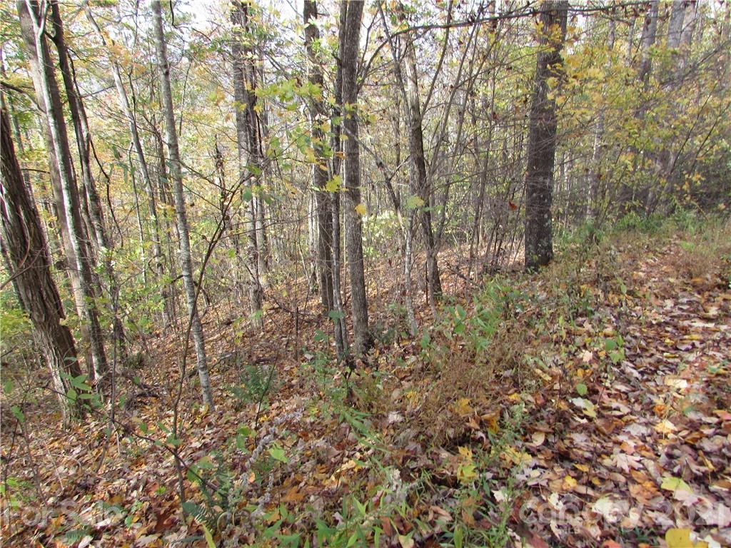 E- 20 Red Wolf Run Mars Hill NC 28754