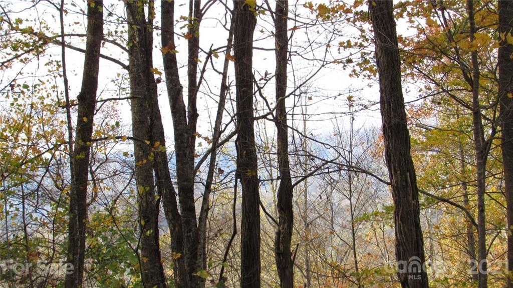 E- 20 Red Wolf Run Mars Hill NC 28754