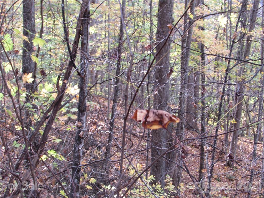 E- 20 Red Wolf Run Mars Hill NC 28754