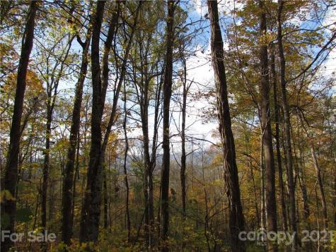 E- 20 Red Wolf Run Mars Hill NC 28754