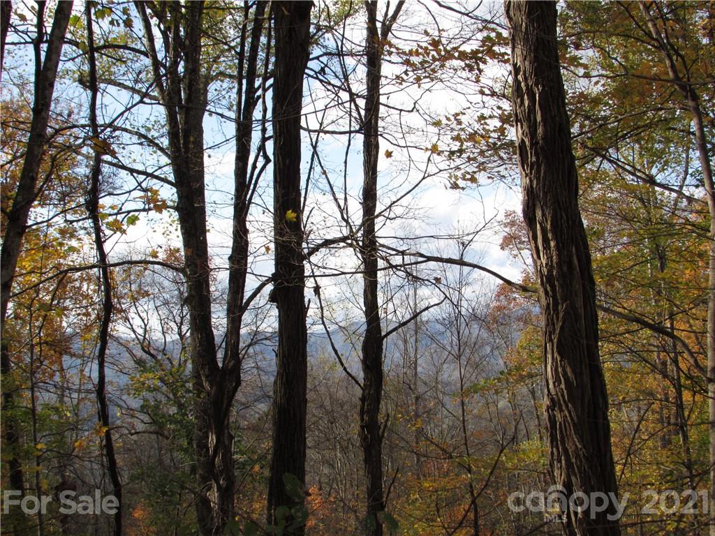 E- 20 Red Wolf Run Mars Hill NC 28754