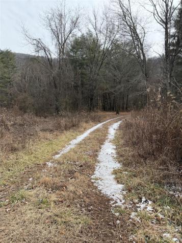 000 Valley Green Drive Penrose NC 28768