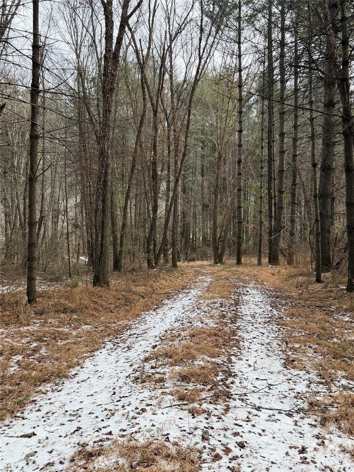 000 Valley Green Drive Penrose NC 28768