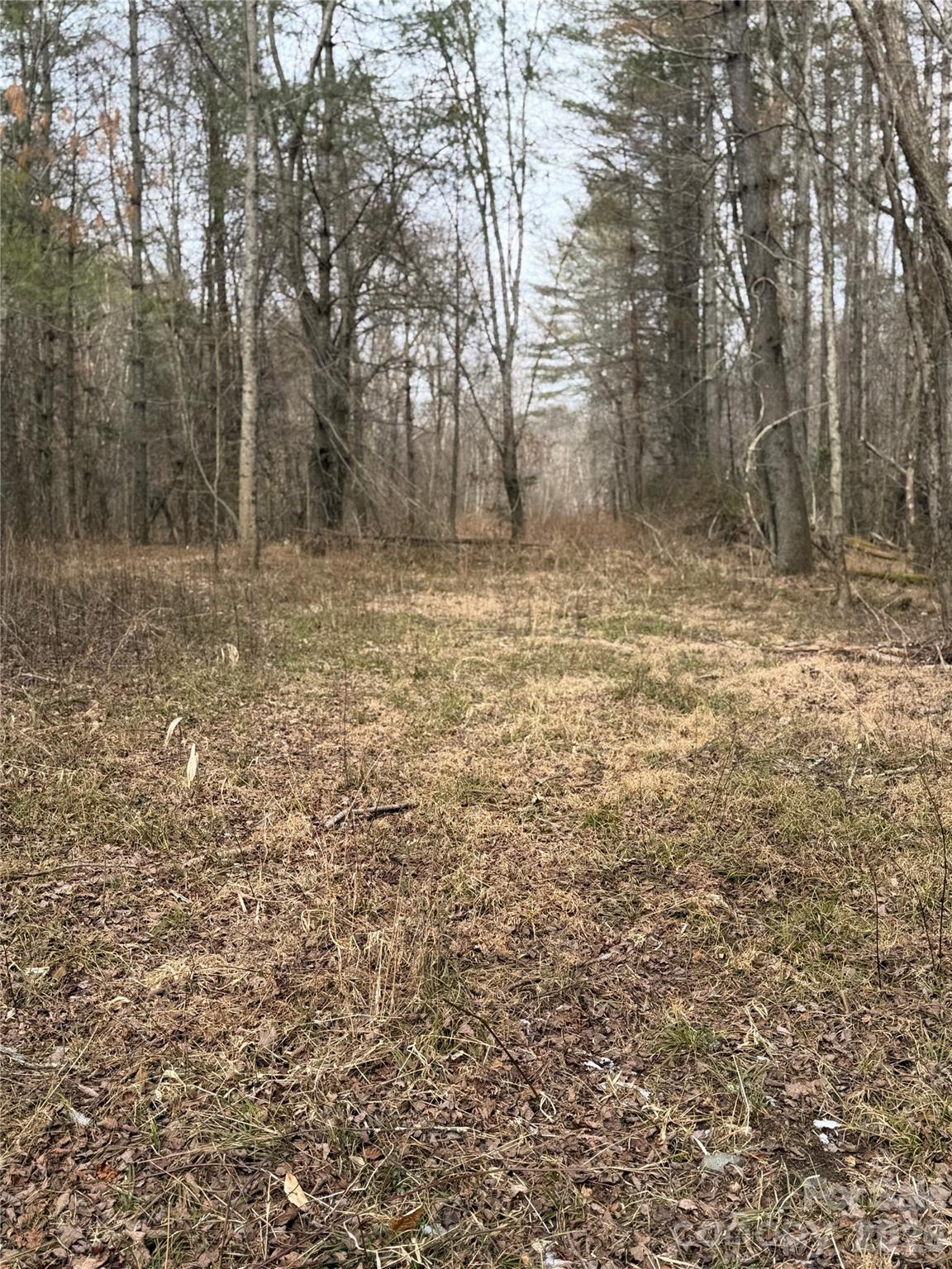 000 Valley Green Drive Penrose NC 28768