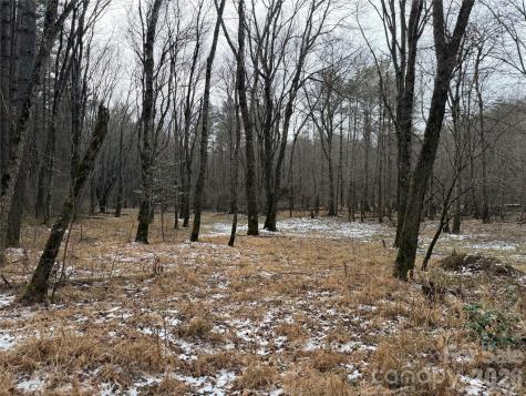 000 Valley Green Drive Penrose NC 28768