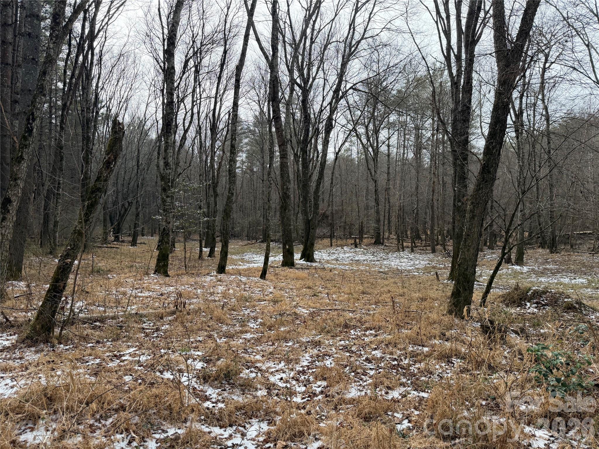 000 Valley Green Drive Penrose NC 28768