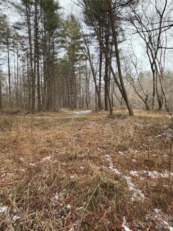 000 Valley Green Drive Penrose NC 28768