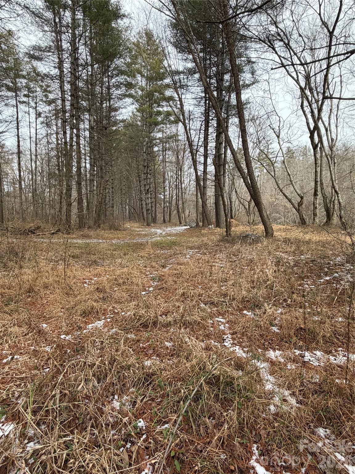 000 Valley Green Drive Penrose NC 28768