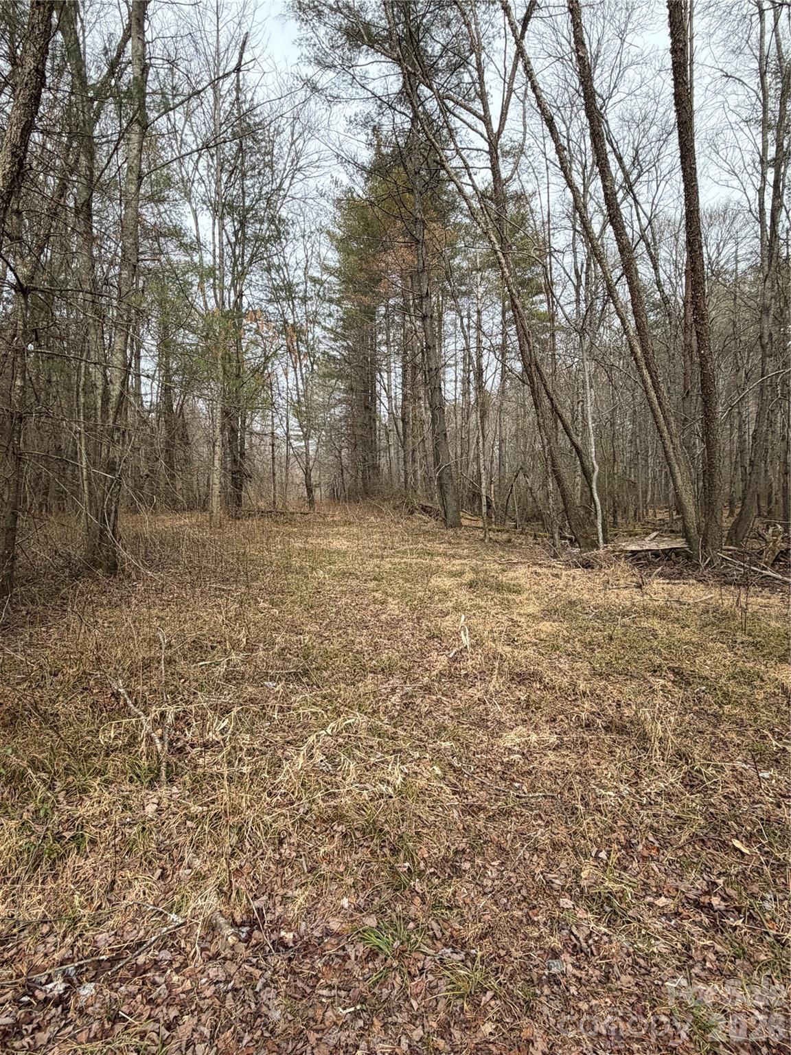 000 Valley Green Drive Penrose NC 28768