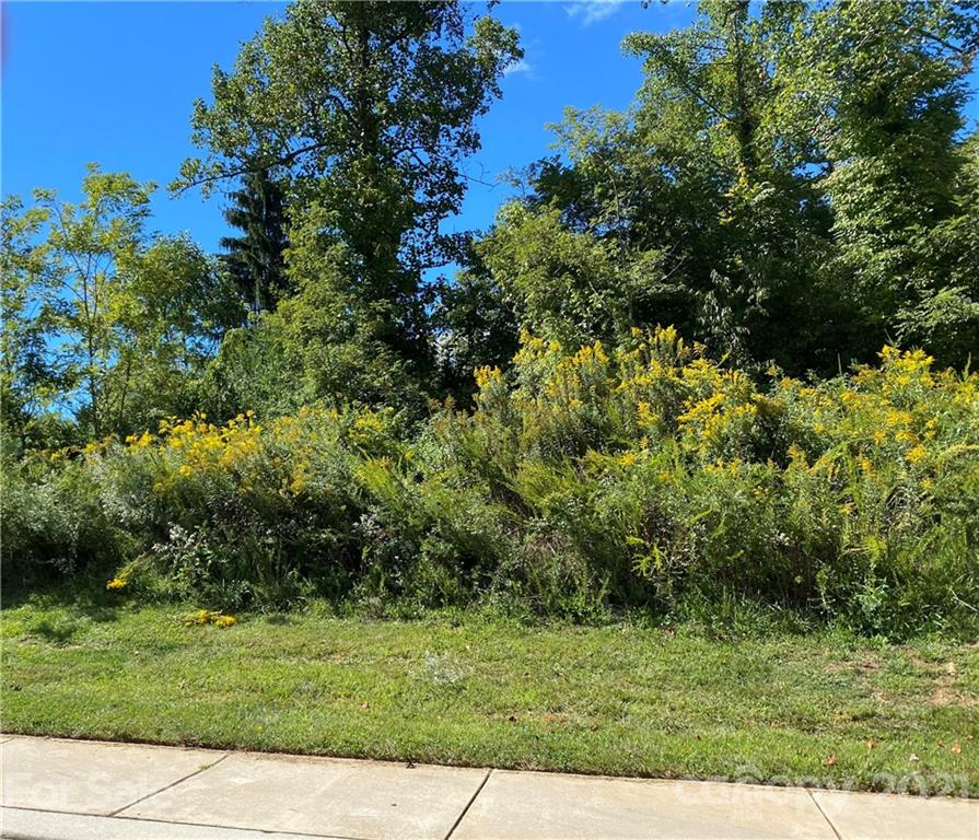 8 Orly Lane Asheville NC 28804