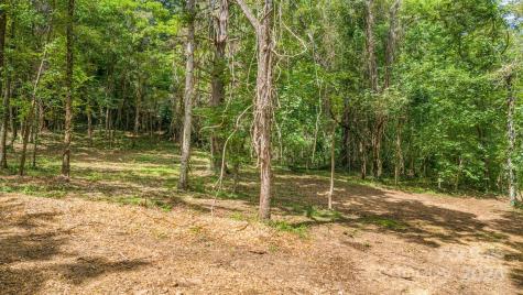 63 Rice Branch Road Asheville NC 28804