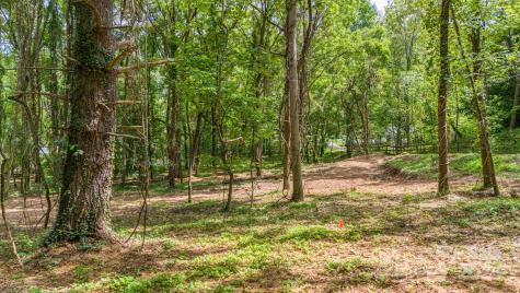 63 Rice Branch Road Asheville NC 28804
