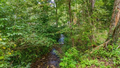 63 Rice Branch Road Asheville NC 28804
