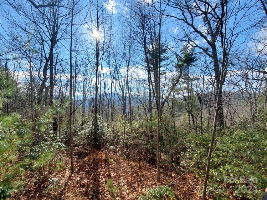 00 Elkins Road Bakersville NC 28705