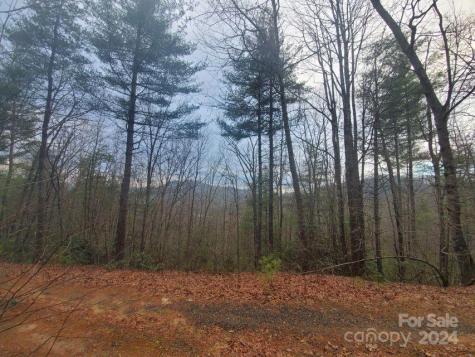 00 Elkins Road Bakersville NC 28705