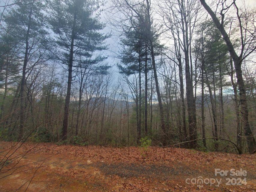 00 Elkins Road Bakersville NC 28705