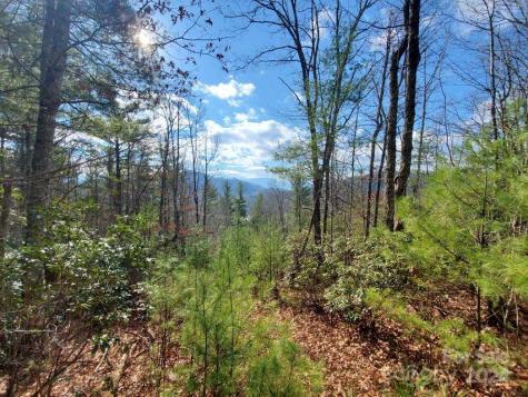 00 Elkins Road Bakersville NC 28705
