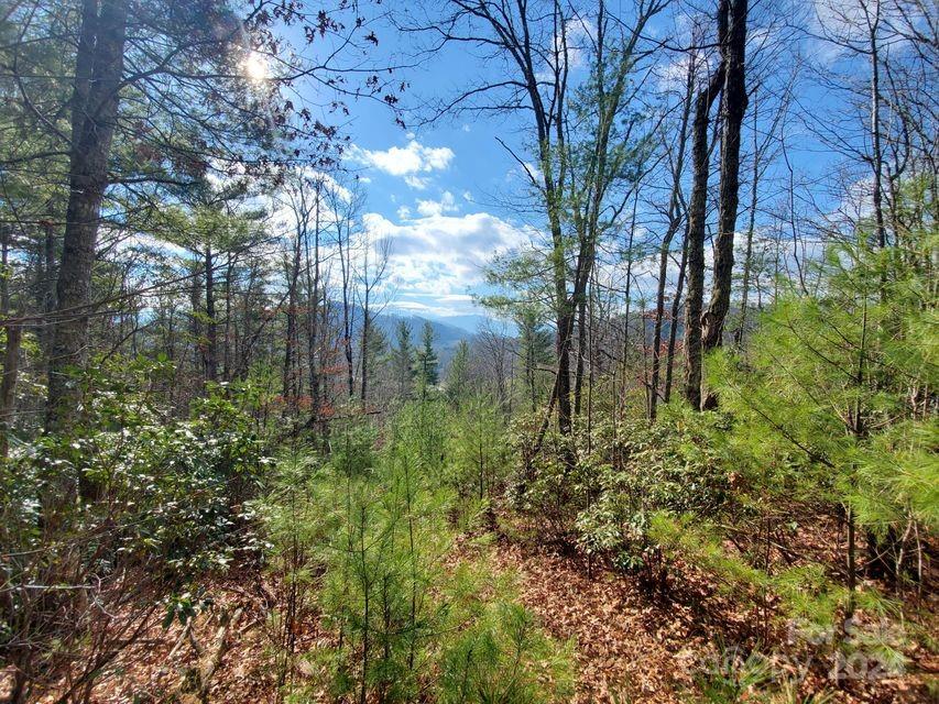 00 Elkins Road Bakersville NC 28705