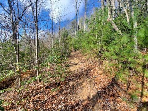 00 Elkins Road Bakersville NC 28705