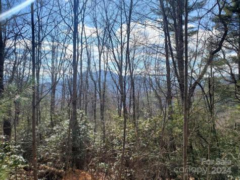 00 Elkins Road Bakersville NC 28705