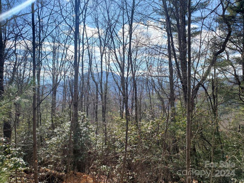00 Elkins Road Bakersville NC 28705
