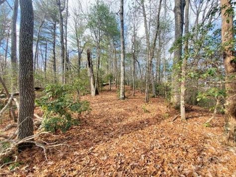00 Elkins Road Bakersville NC 28705