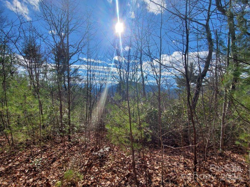 00 Elkins Road Bakersville NC 28705