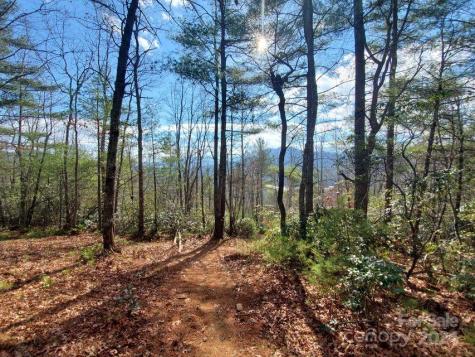 00 Elkins Road Bakersville NC 28705
