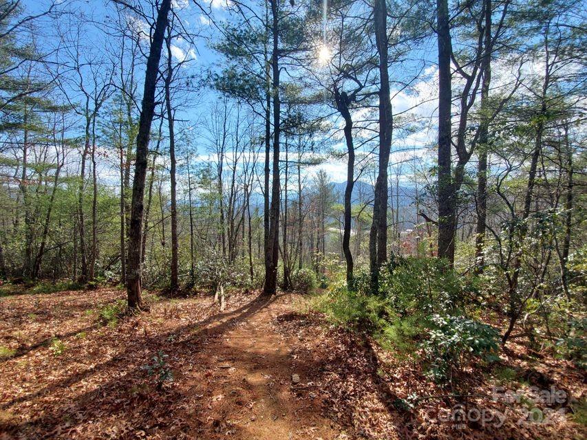 00 Elkins Road Bakersville NC 28705