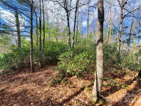 00 Elkins Road Bakersville NC 28705