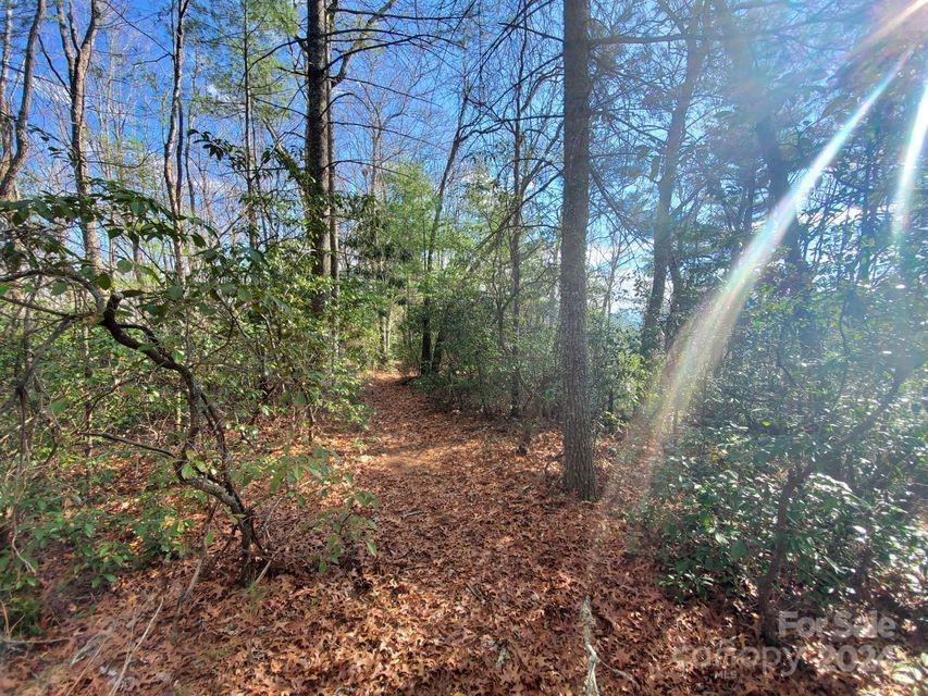 00 Elkins Road Bakersville NC 28705