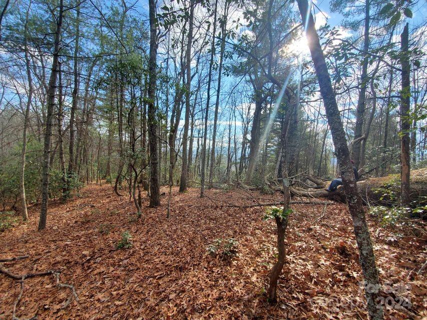 00 Elkins Road Bakersville NC 28705