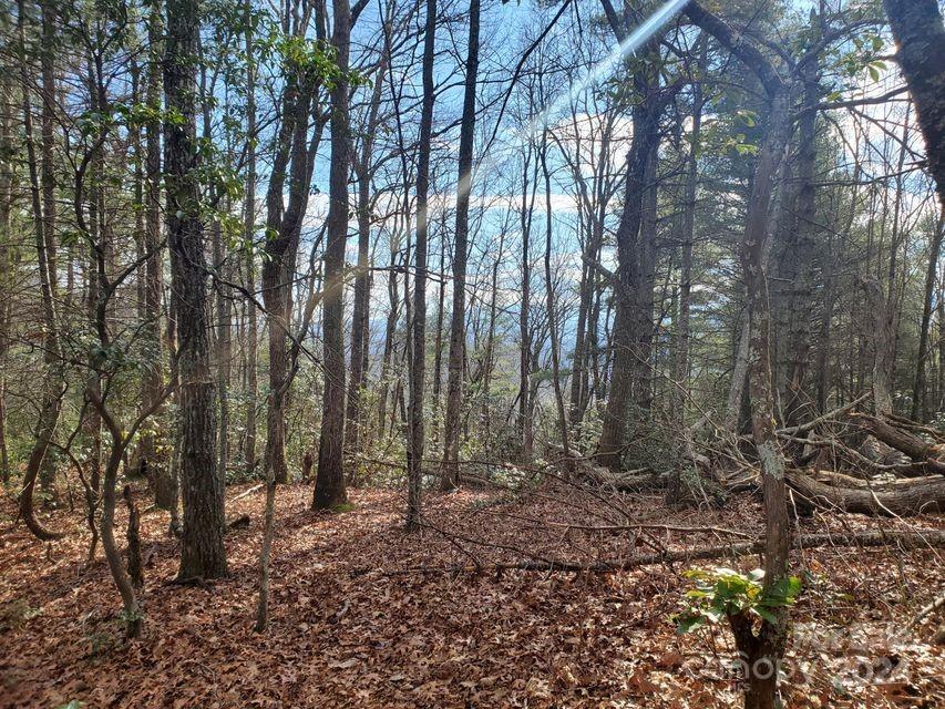 00 Elkins Road Bakersville NC 28705