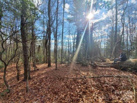 00 Elkins Road Bakersville NC 28705