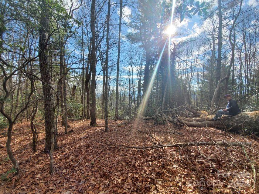 00 Elkins Road Bakersville NC 28705