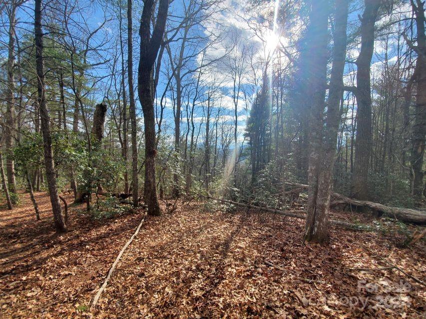 00 Elkins Road Bakersville NC 28705