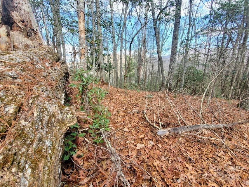 00 Elkins Road Bakersville NC 28705