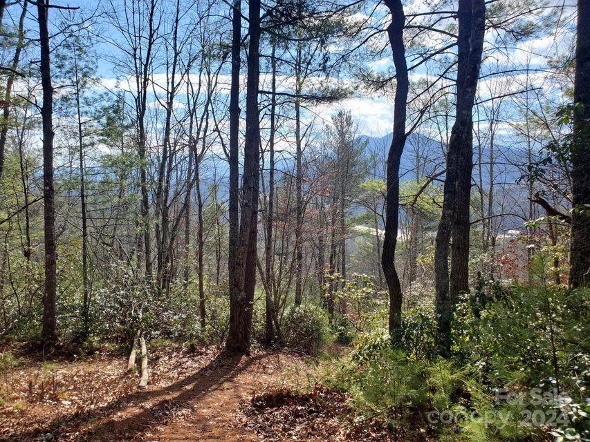 00 Elkins Road Bakersville NC 28705